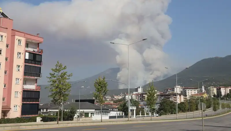 Denizli'de Orman Yangını: Şüpheli Gözaltında, Sıcak Gelişmeler Yaşanıyor
