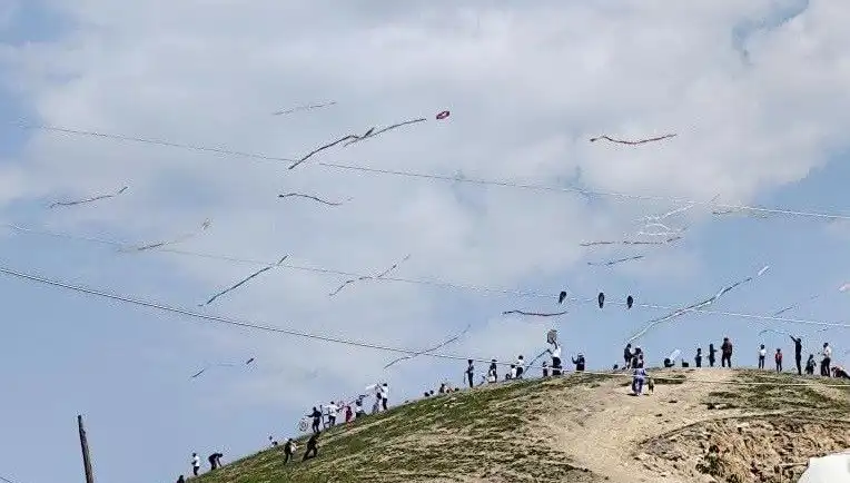 Uçurtma Şöleni: Renklerin Dansı Göklerde Serin Bir Gün Yaşattı