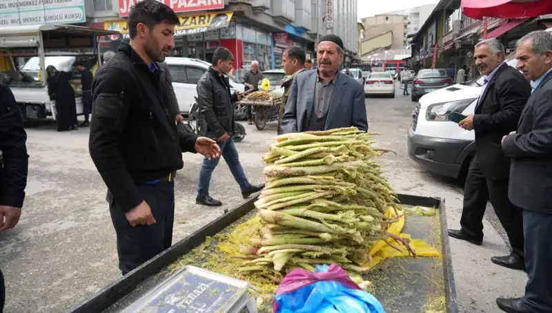 Dağların Şifası: Şekerin Kanser ve Mide Hastalıklarına Faydaları