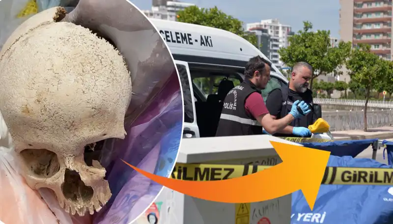 Sitenin Çöpünden Bulunan Kafatasının Gizemi Çözülüyor: Uzman Doktor Gözaltında!