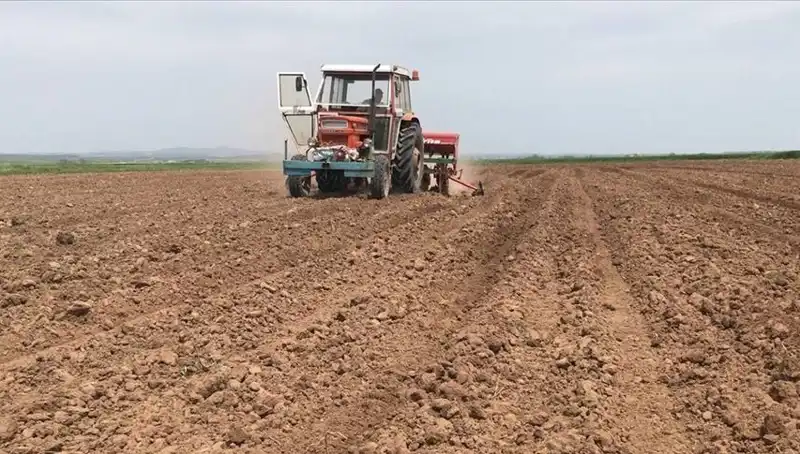 Son 35 Yılda Yaşanan En Kurak Mart Ayı Sıcaklık Rekorları Kırıyor