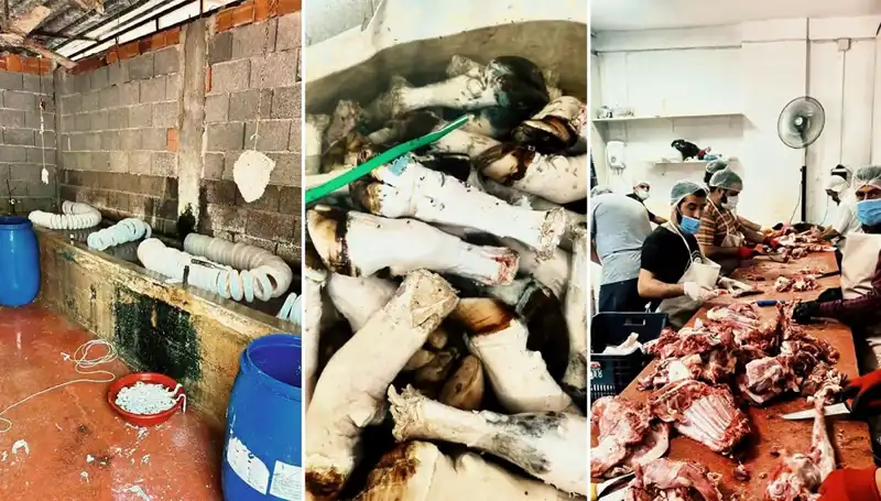 Adana’da Skandal! Yüzlerce Kilo Paça Ele Ge geçirildi