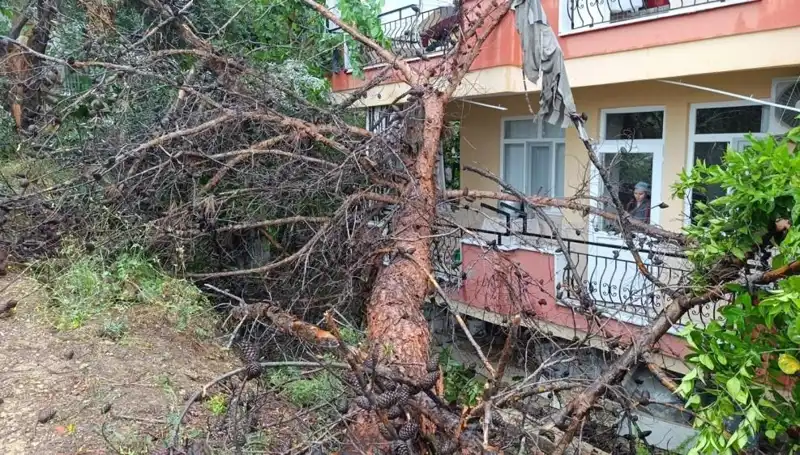 Şiddetli Yağmurda Binanın Çökmesi: Geride Kalanlar ve Sebepler