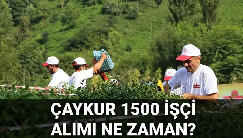 Çaykur İşçi Alımı İçin Başvuru Tarihleri ve Süreç Detayları