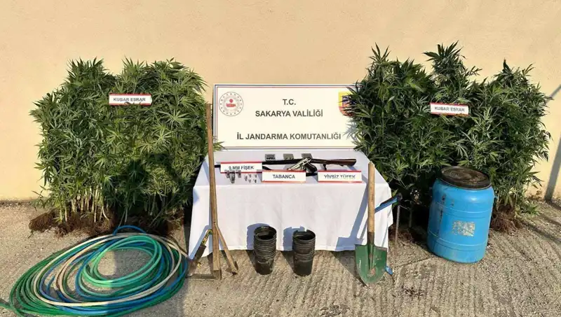 Sakarya'da Şok Uyuşturucu Operasyonu: Tek Tutuklama ile Sona Erdi!