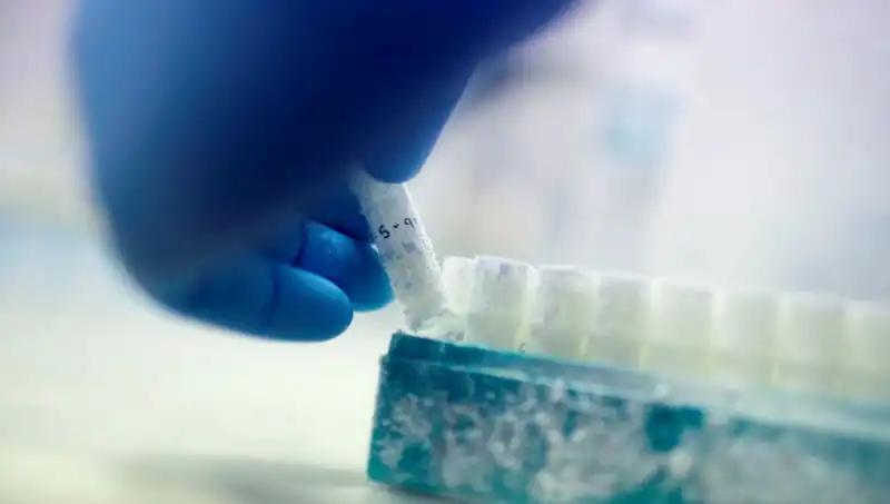 Türkiye'de "Tıbbi Felaket": 85 Sperm Donörü Binlerce Çocuğa Baba Oldu