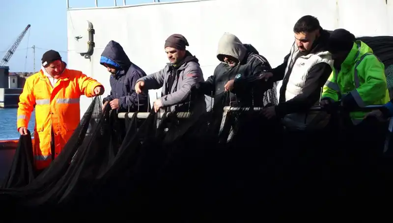 Denizlerde Hamsi Avı Son Buldu: Tekneler Erken Paydos Etti!