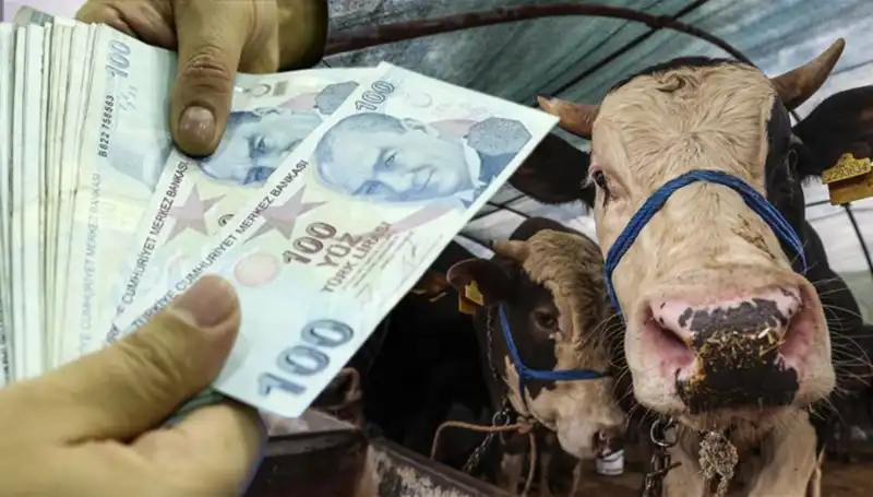 Bayram Öncesi Maaşlar Ne Zaman Yatacak? Emeklilere Müjdeli Haber Geldi!