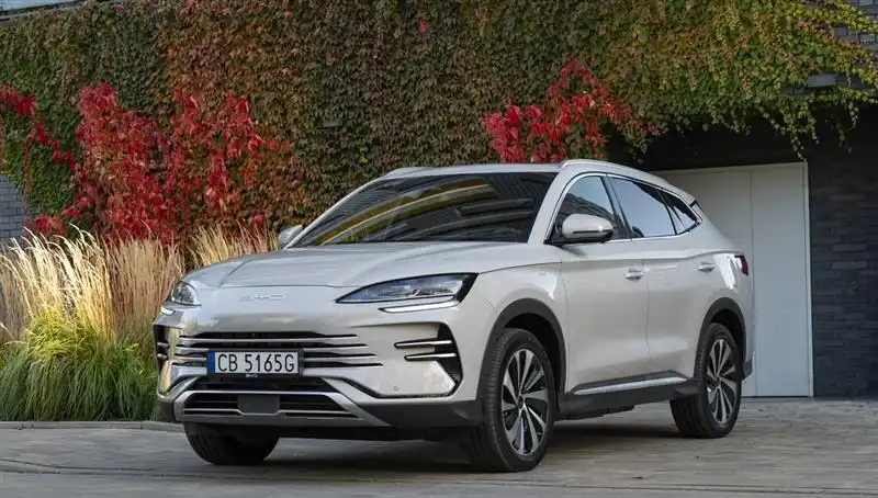 BYD'nin Hız Kesmeyen Büyüme Hikayesi, Yavaşlamanın Nedenleri