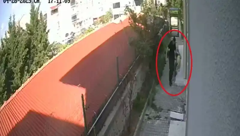 Veteriner Doktorun Dehşet Verici Eylemi: Sahiplendiği Köpekleri Öldürdü