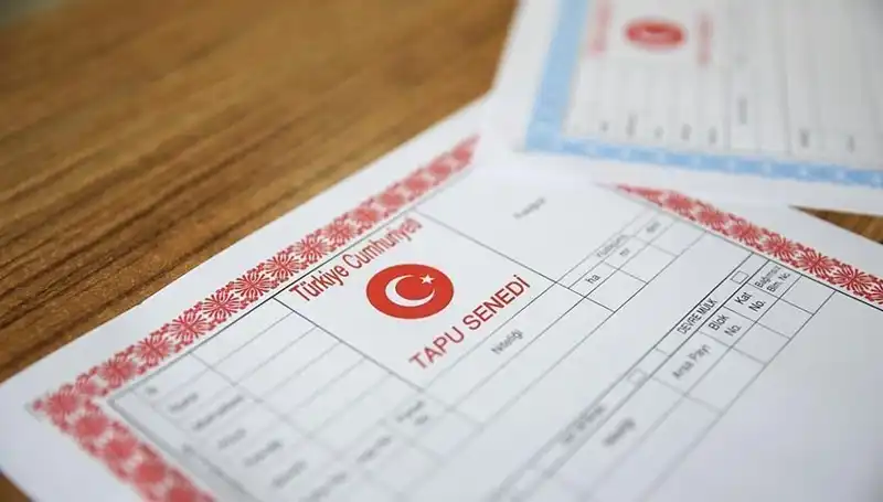 100 Milyonluk Hisseli Tapu Tuzağı: Yalan ve Gerçek