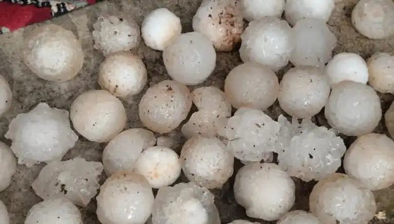 Şanlıurfa'yı Vuran Kar Topu Büyüklüğünde Dolu Felaketi
