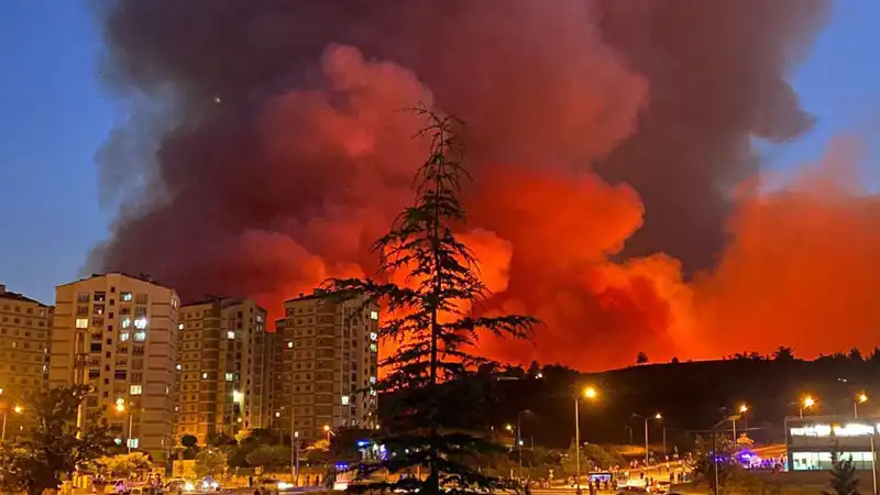 Bursa'da Büyüyen Yangın Tehlikesi: Şehirde Hızla Yayılıyor