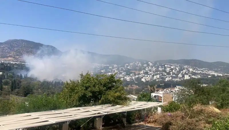 Muğla Orman Yangınları Kontrol Altına Alındı: Son Gelişmeler ve Önlemler