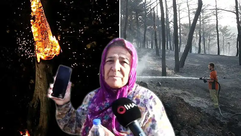Çanakkale'deki Orman Yangınları Kontrol Altına Alındı: İz Bırakan Kayıplar