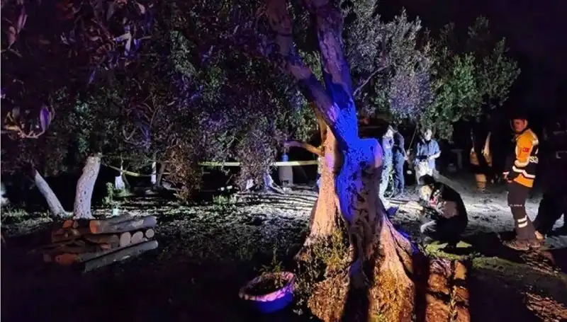 Çiftlikte Baltalı Skandal: Vahşete Sona Erildi!